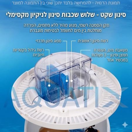 אקוורים פטריה – דקורציה דוב קוטב